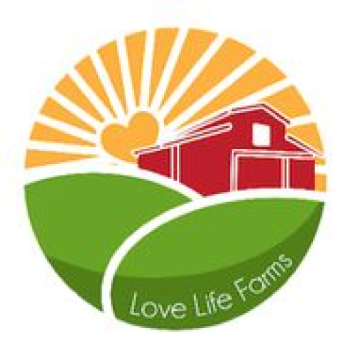 Glitter Bomb (30.13%) by Lovelife Farms (Indica Dom) | 001795A