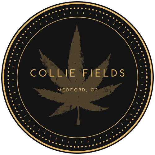Acai Gelato (24.53%) by Collie Fields (Sativa) | 002793A
