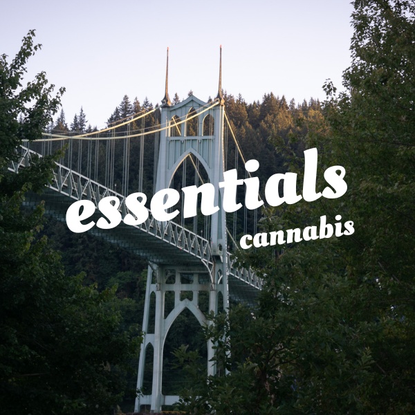 Bubble Burger Diamonds & Sauce 2g