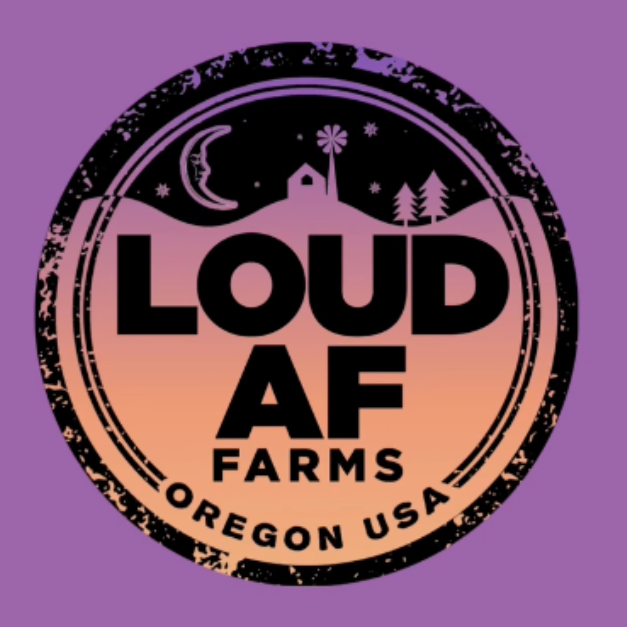 Blue Cheese (28.97%) by Loud AF (Indica Dom) | 005940A